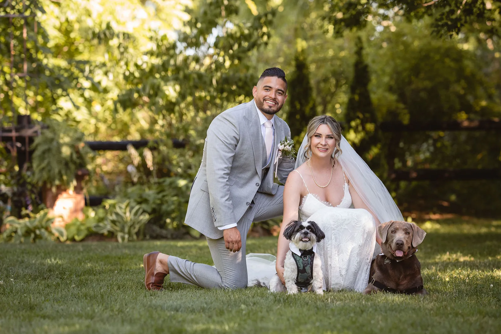 A groom in a light grey three-piece suit kneeling on the grass beside his bride and their two dogs, in a sunlit garden